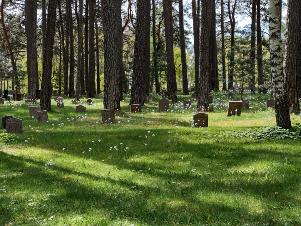 forest scene with green grass, wild flowers and headstones