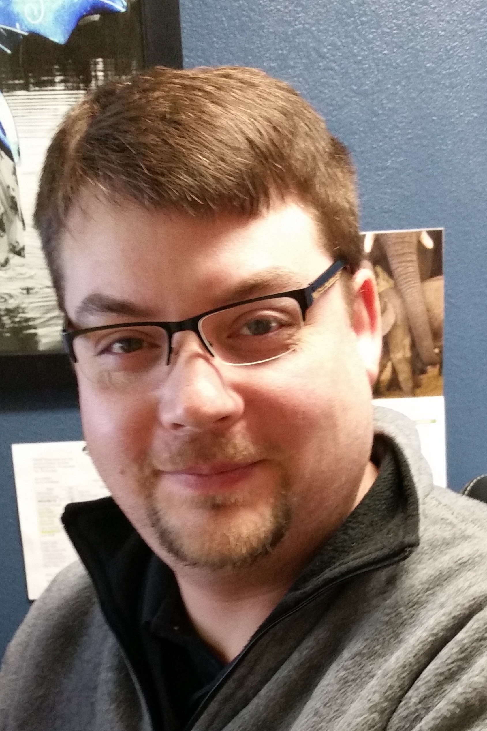 Profile Photo: Steve Sparrow