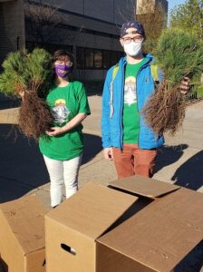 UW-Stevens Point students mark Arbor Day with white pine seedling distribution
