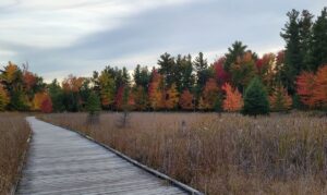 Explore UW-Stevens Point’s Schmeeckle Reserve through fall programs