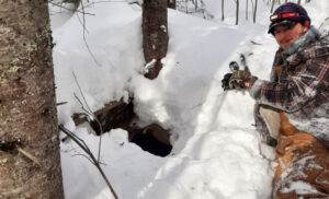 TL news: Natural Connections: Bear Babies