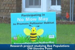 WSAW: UW-Stevens Point student research group studying pollinators year-round