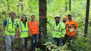UW-Stevens Point students helping to advance forestry science