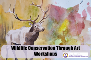 Workshops blend wildlife art, conservation, at UW-Stevens Point