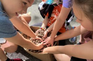 Students across Wisconsin helping the DNR to repopulate forests