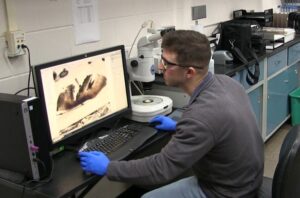 UWSP graduate student uncovers secrets of Wisconsin’s little-known buffalo fish