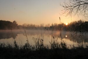 UWSP’s Schmeeckle Reserve to host programs this November and December