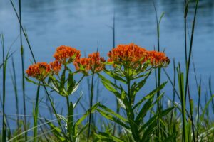 UW-Stevens Point celebrates Earth Week with events encouraging sustainability