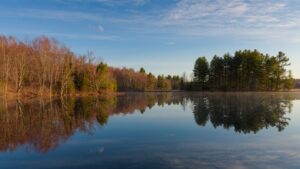 UW-Stevens Point’s Treehaven field station offering public spring programming