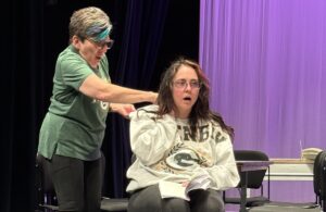 Laird Endowment for the Arts Advisory Committee at UWSP at Marshfield seeks applicants