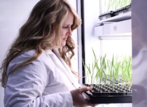 UWSP’s Wisconsin Institute for Sustainable Technology grant to address state forestry needs