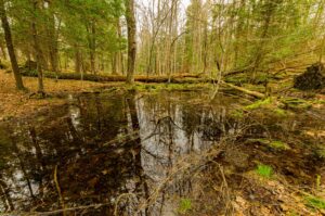 UWSP’s Schmeeckle Reserve to host family nature programs this April