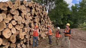 UW-Stevens Point to collaborate with state partners for Wisconsin Forest Products Week