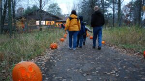 Fall Candlelight Hike and nature programs at UWSP’s Schmeeckle Reserve