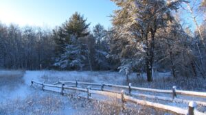 UWSP’s Schmeeckle Reserve to host family nature programs this March