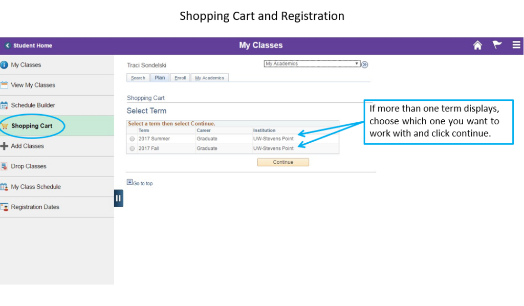 Shopping cart term selection