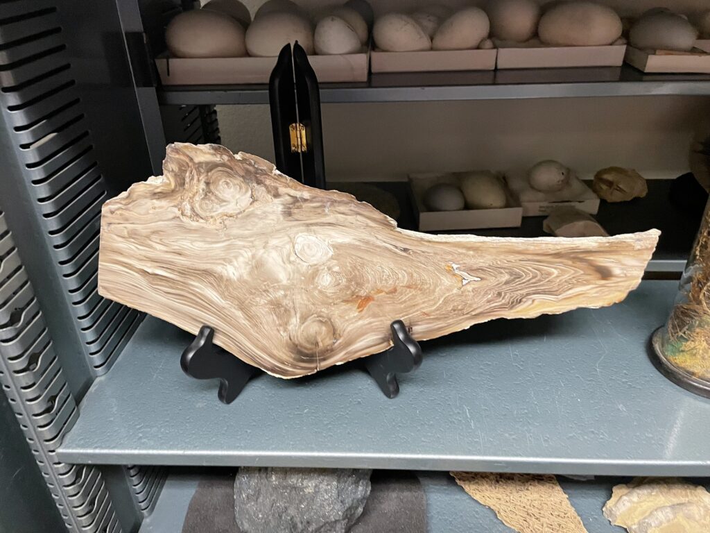 geology decorative image