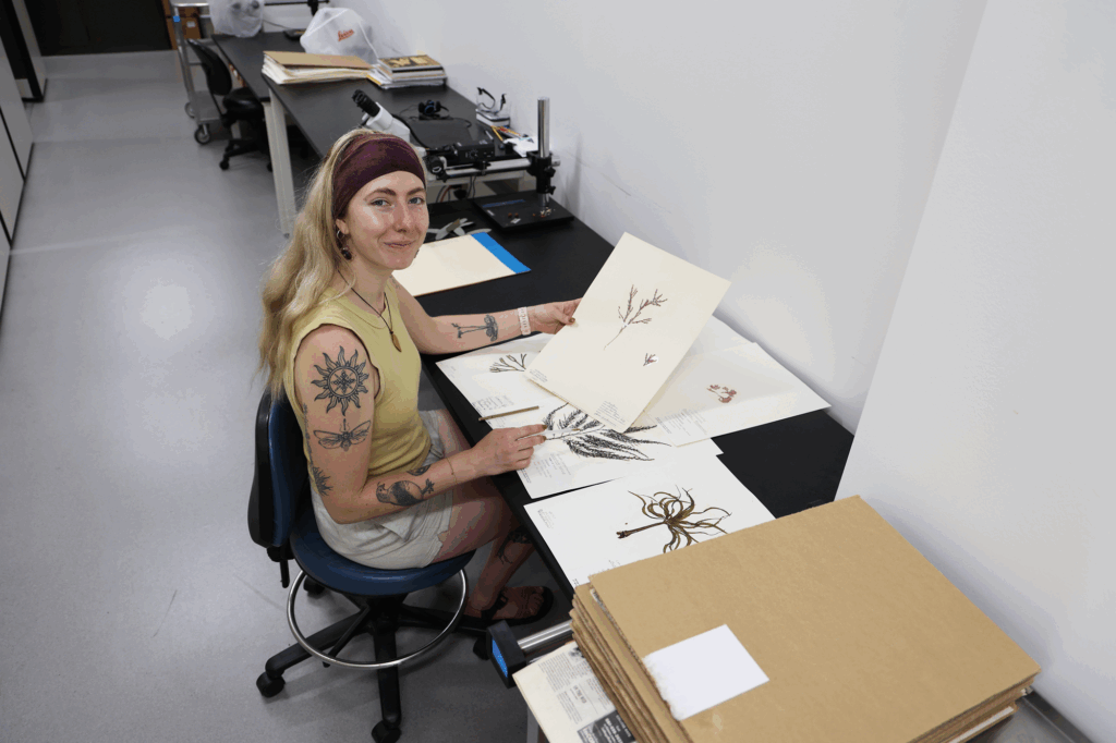 Student holds dried plant specimen on card at a desk.