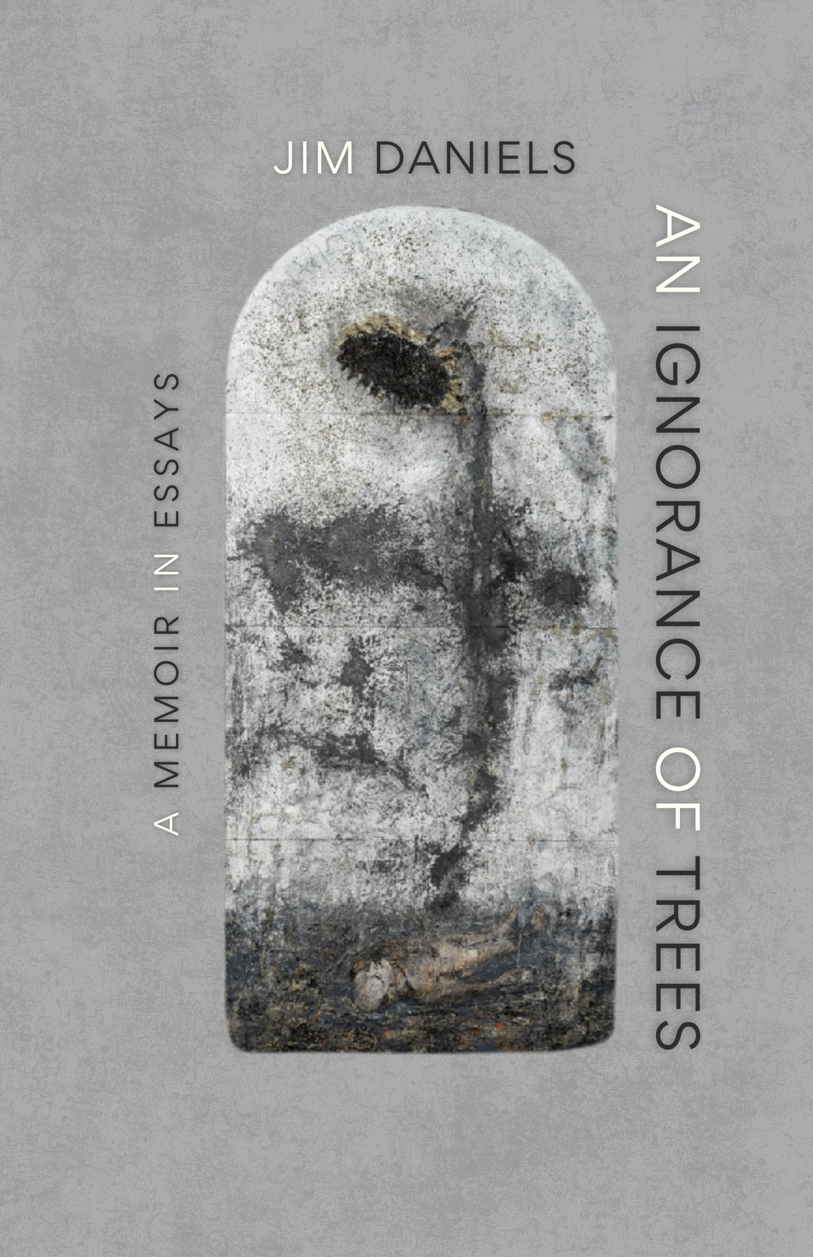 Even the Sky_Front Cover_FINAL.png
