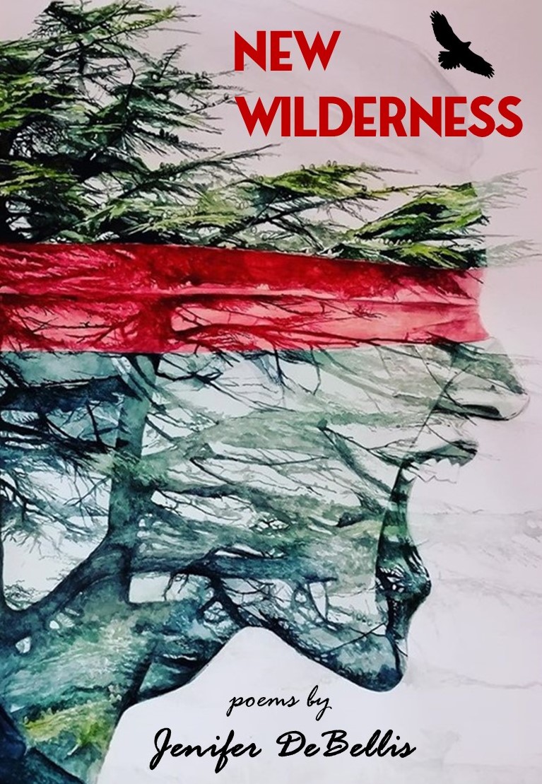 NW Cover Choice Sample Image.jpg