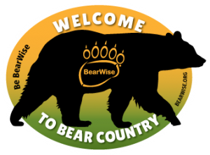 BearWise logo