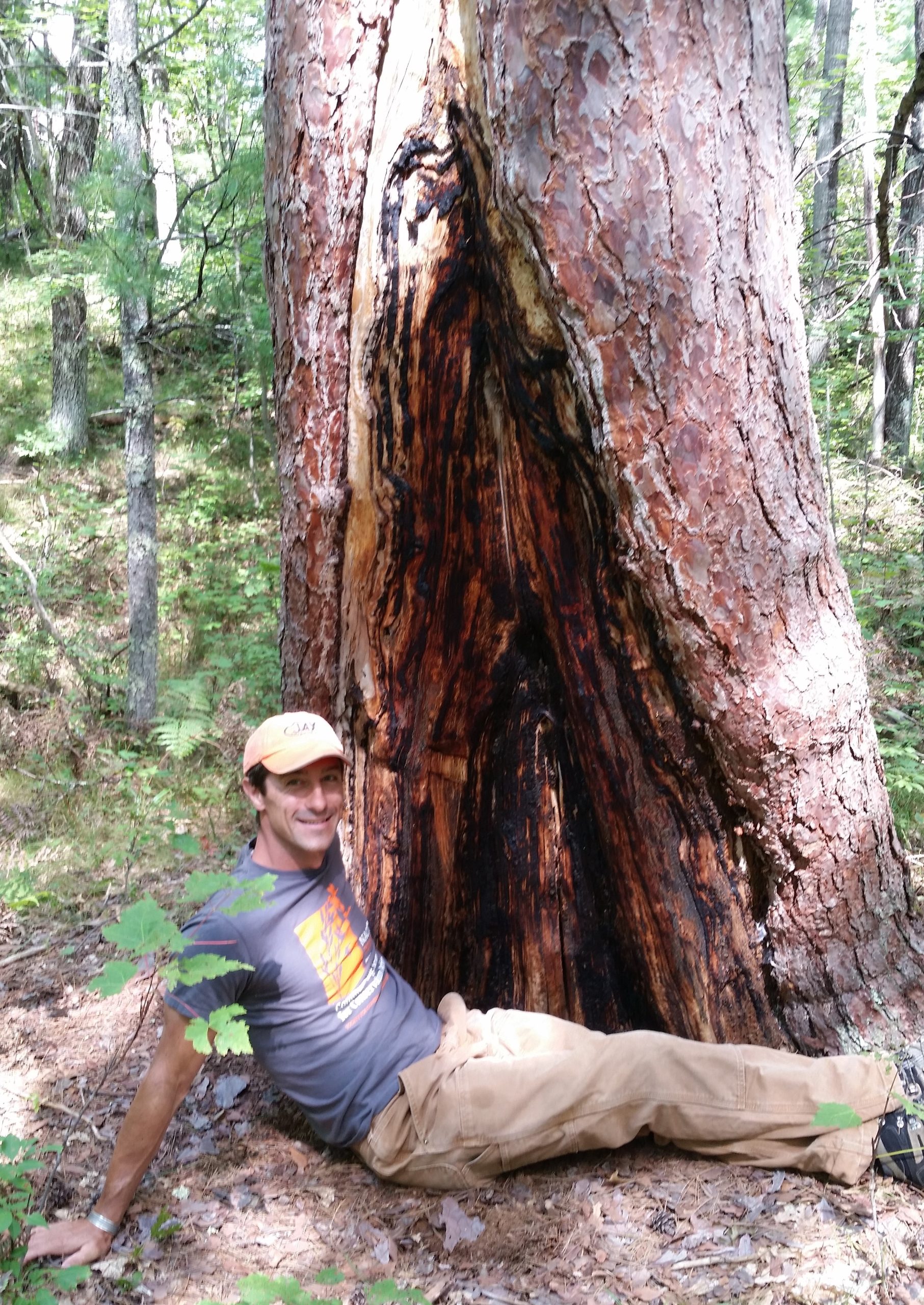 Jed Meunier sitting on ground in front of a very large fire-scarred tree