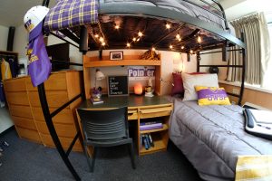 Inside a UWSP pointer themed dorm room