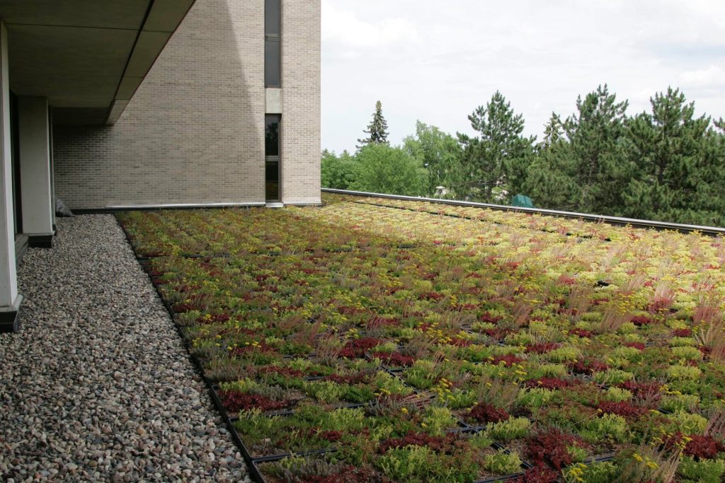 Our green roof on Albertson Hall that reduces runoff, heating and cooling expenses, and extends the life of the roof.