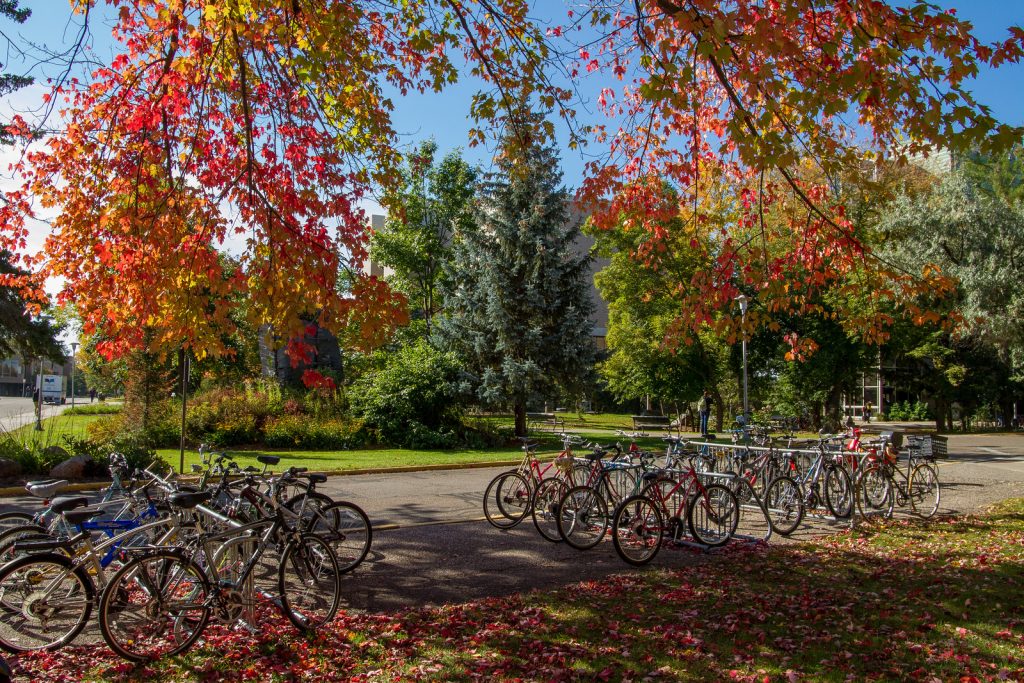 Our bike racks with fall trees in the background.