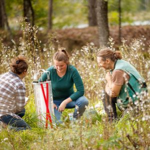 Two students testing soil samples with a professor.