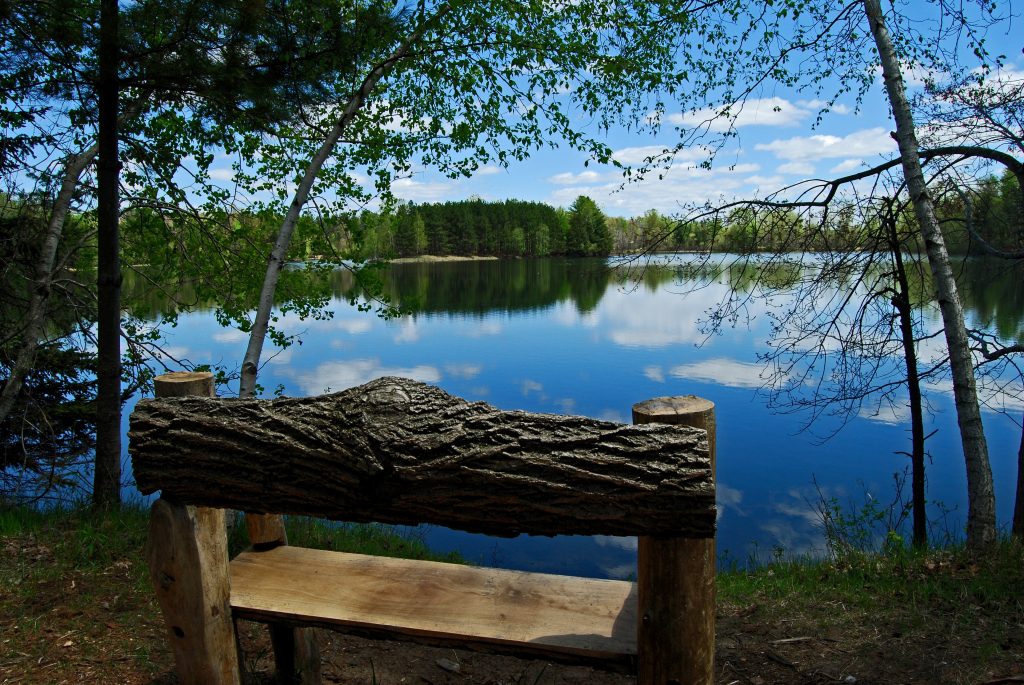 A wooden bench facing Lake Joanis in Schmeeckle Reserve.