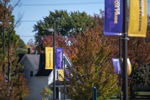 Purple and gold Discover Your Purpose banners on the campus light poles.