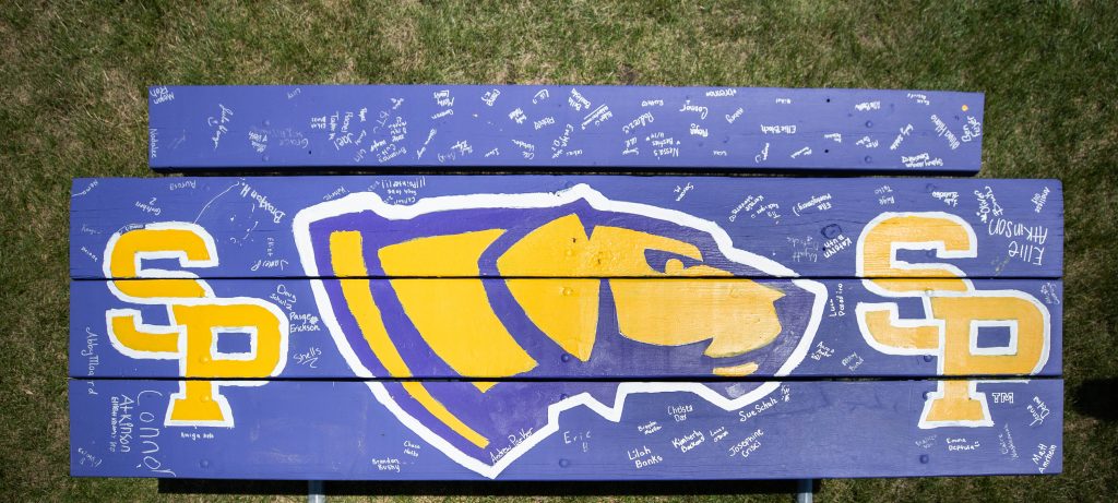A purple and gold picnic table with Pointer dog logo painted in the middle.