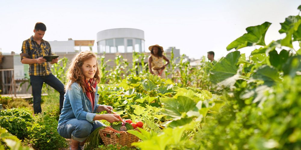 UW Sustainability and Well-being