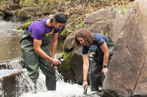 Students using dip nets during a field lab at UW-Stevens Point.