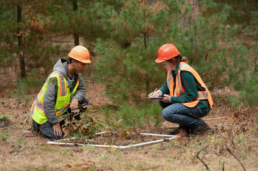 Forestry students working in the field.