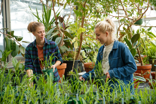 Students work with plants in the greenhouse at UW-Stevens Point.