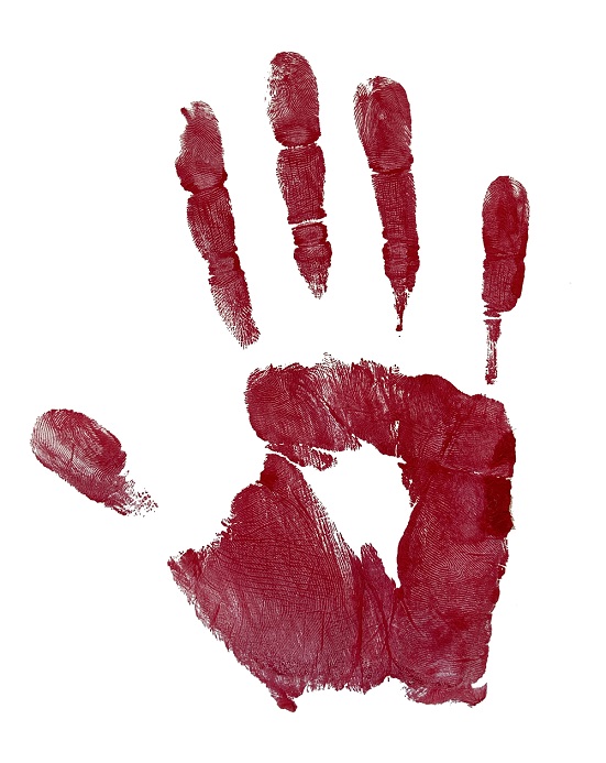 Logo - a red handprint to signify Indigenous women