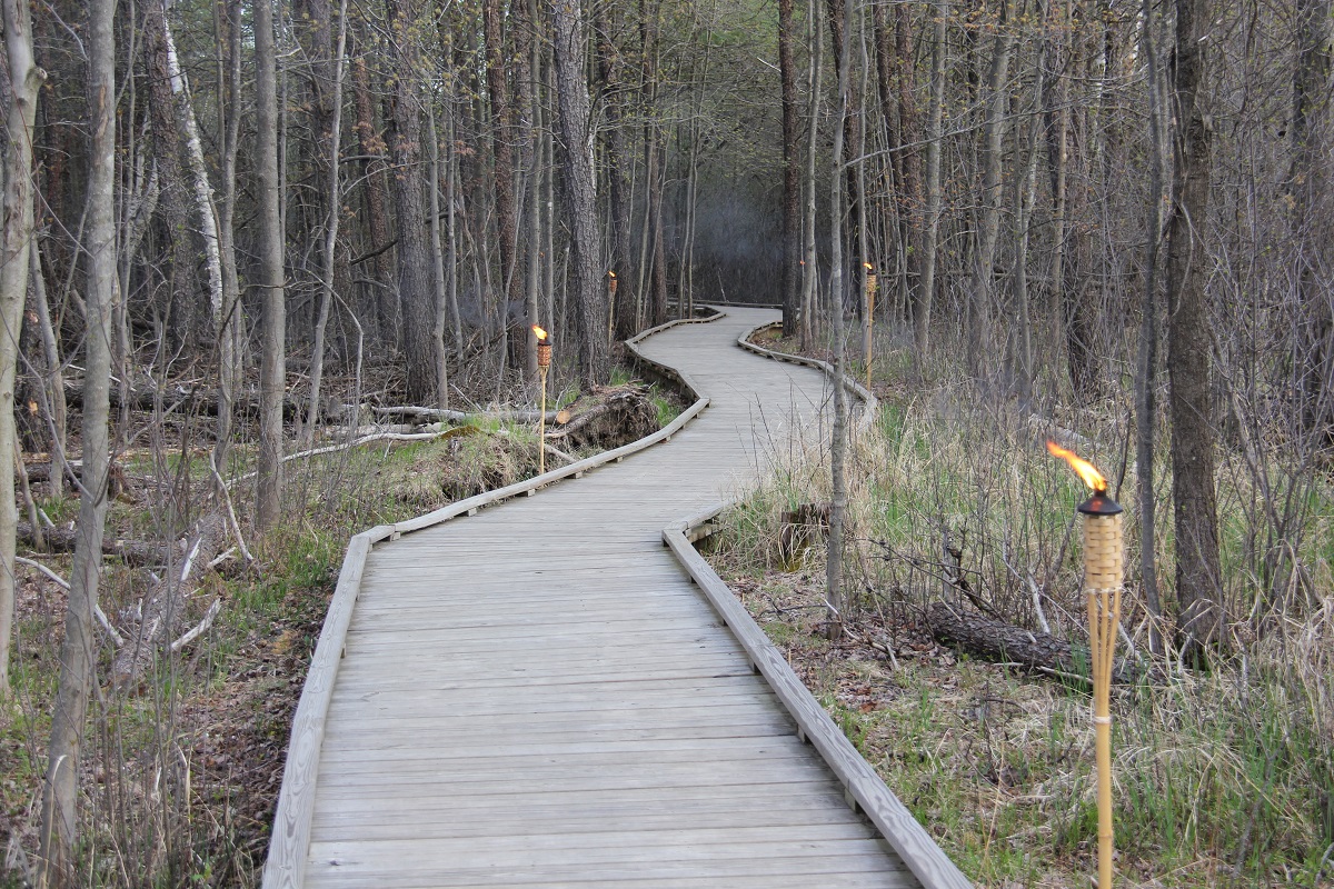 Schmeeckle Reserve spring candlelight hike path