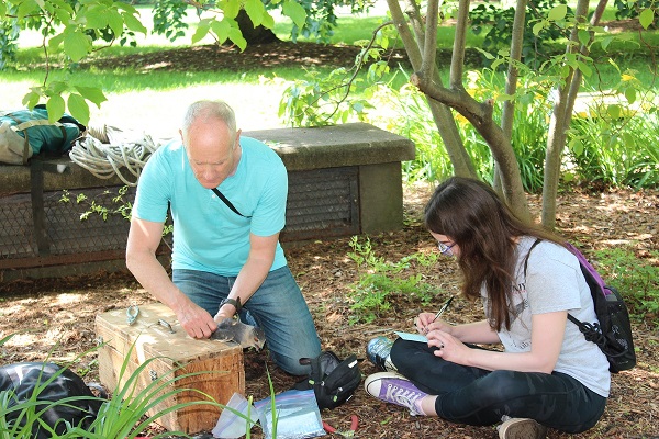 Professor Bob Rosenfield and student Roxanne Gasperetti with a Cooper's hawk