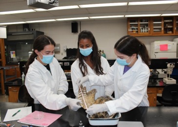 Students studying biological specimen
