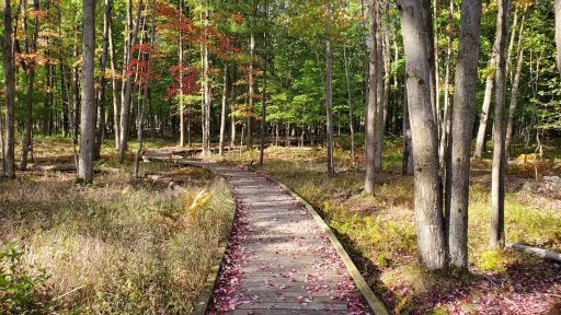 trail at Schmeeckle Reserve outdoor space