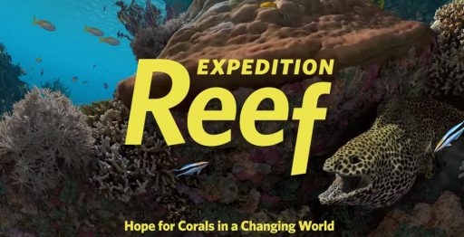 “Expedition Reef”