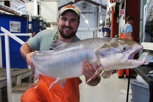 Jared, Aquaculture Technician at UWSP NADF holds up Atlantic salmon