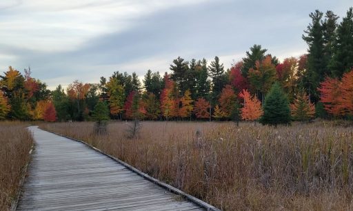 Explore the colorful trails of Schmeeckle Reserve this fall