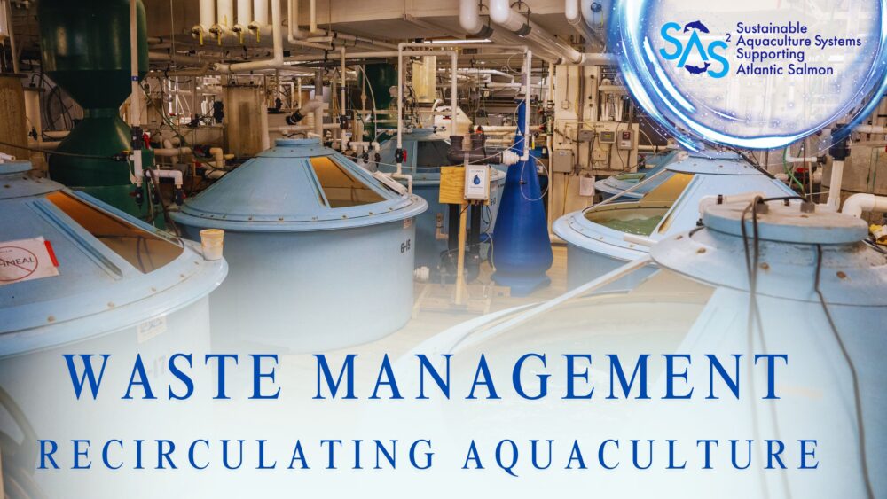 Waste Research Video for Recirculating Aquaculture
