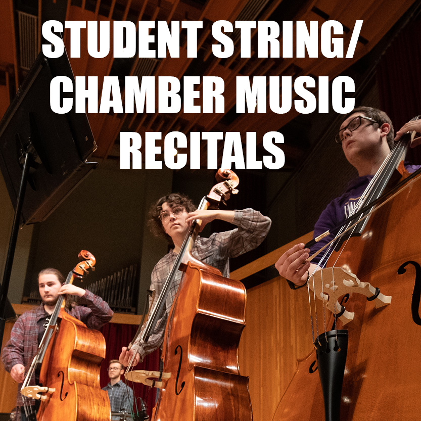 Student String/Chamber Music