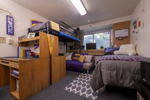 Lofted bed over a couch with other bed across the room, TV in the window