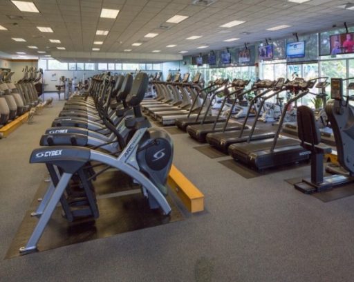 Rows of ellipticals, treadmills, and stationary bikes with TVs and windows