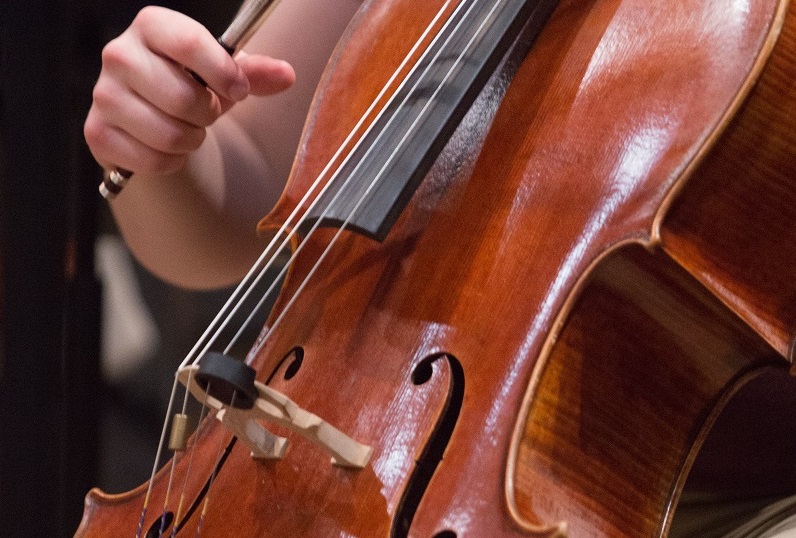 cellist performs